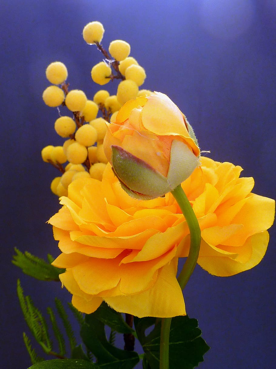 artificial flowers, ranunculus, yellow, spring, blossom, bloom HD wallpaper