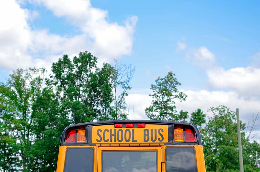 school bus near green trees under cloudy sky during daytime, yellow School bus near trees during daytime HD wallpaper