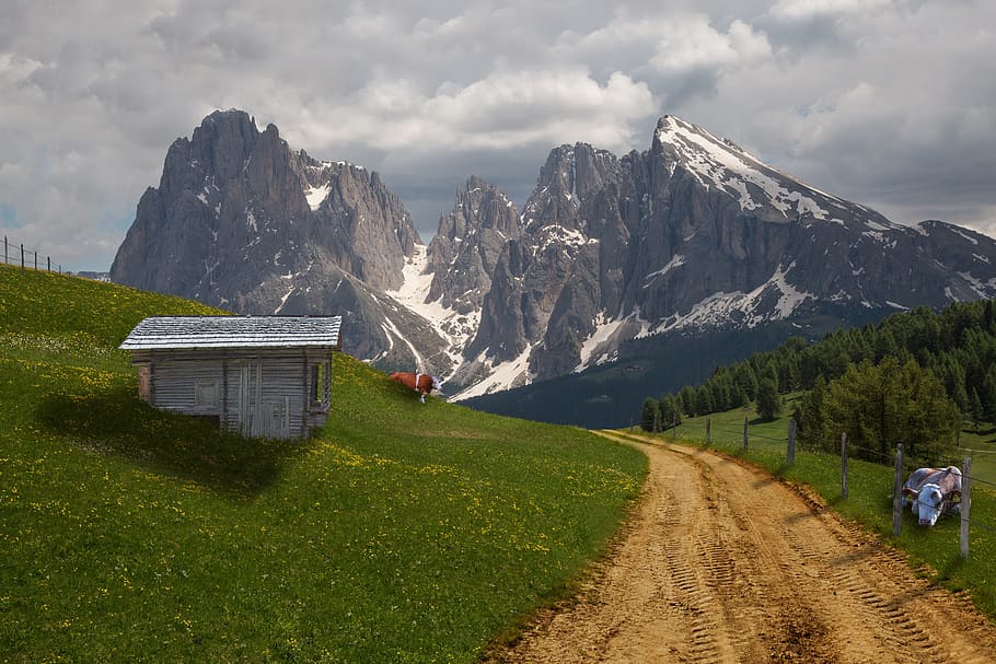 white wooden shed on hill near mountain range with snow, alm HD wallpaper