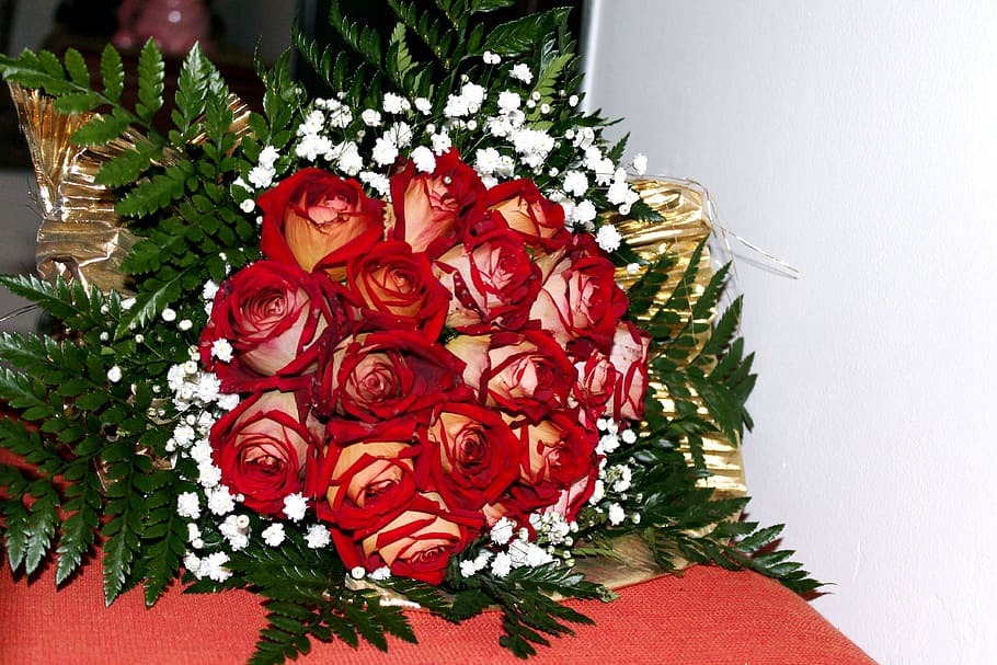 deck, flowers, rose, red, flowering plant, rose - flower, flower head HD wallpaper