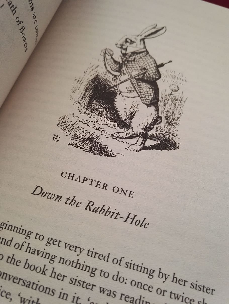 Alice in Wonderland book, english, rabbit, literature, carroll