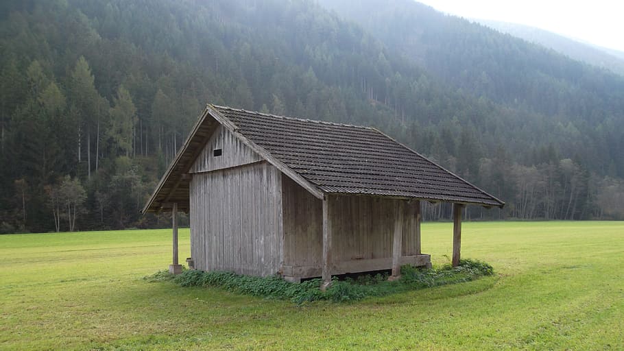 Barn, Scale, Field, Alpine Hut, field barn, grass, fog, landscape HD wallpaper