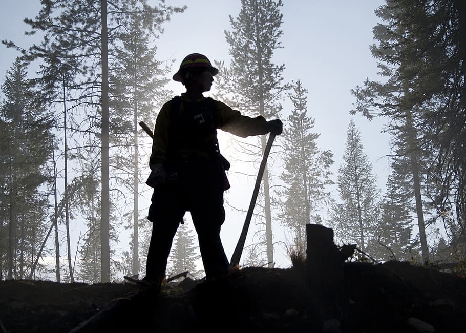forest, trees, woods, person, silhouette, standing, firefighter HD wallpaper