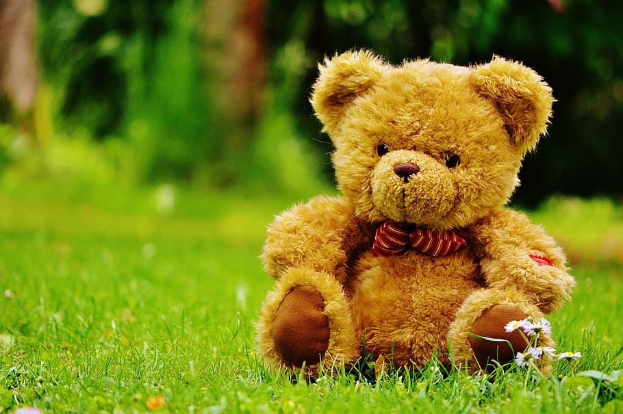 brown bear plush toy lying on green grass, bears, stuffed animal HD wallpaper