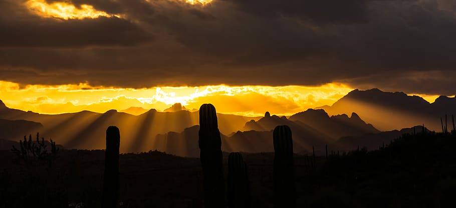 crepuscular light, silhouette of cacti on mountain, sunset, sunrise HD wallpaper