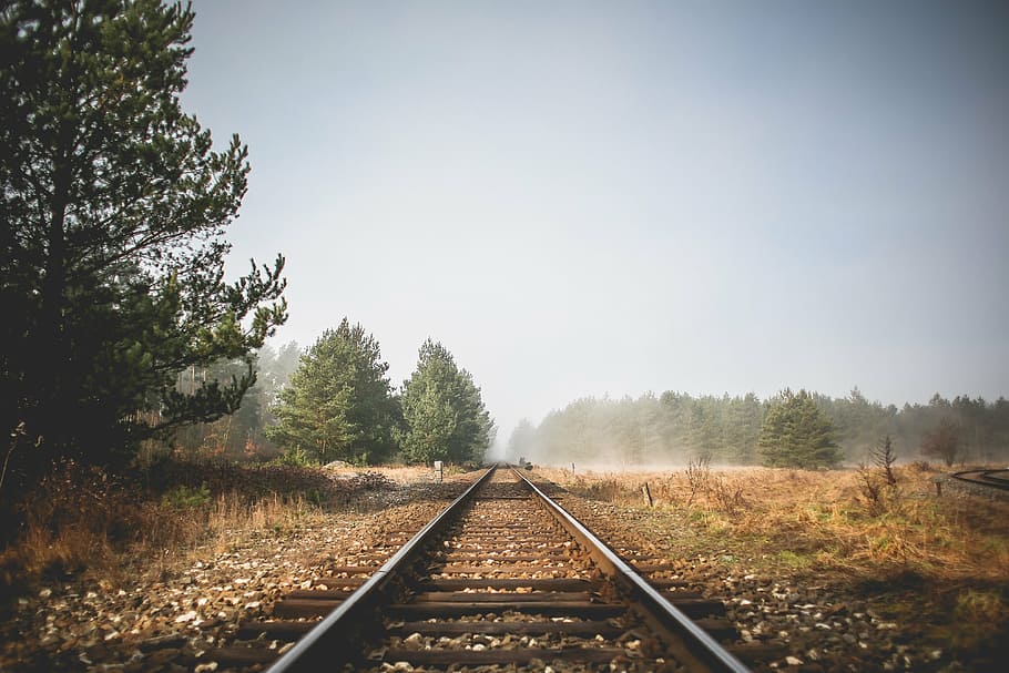train rail surrounded by trees, railroad, tracks, scenery, elements HD wallpaper