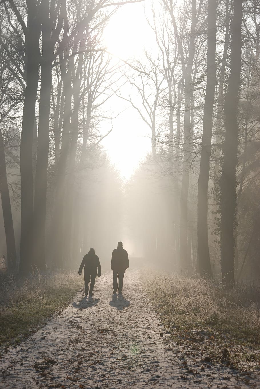 two silhouette person walking through the path between of forest field HD wallpaper