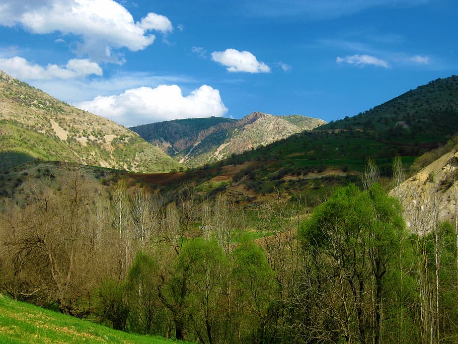 mountain, trees, clouds, sky, landscape, wilderness, scenery HD wallpaper