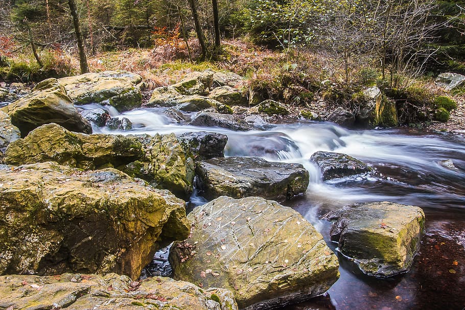 river, bach, water, flow, idyllic, waters, shrubs, nature, creek HD wallpaper