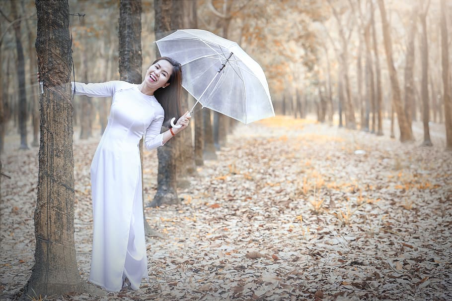 huy thoai, pham, tree, young adult, forest, standing, umbrella, HD wallpaper