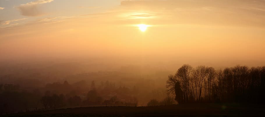 evening, mist, vendée, fog, tree, sky, scenics - nature, tranquility HD wallpaper