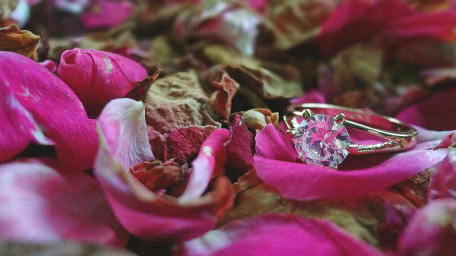 Ring, Wedding, Light, Soft, Roses, Gold, crystal, flower, pink color HD wallpaper