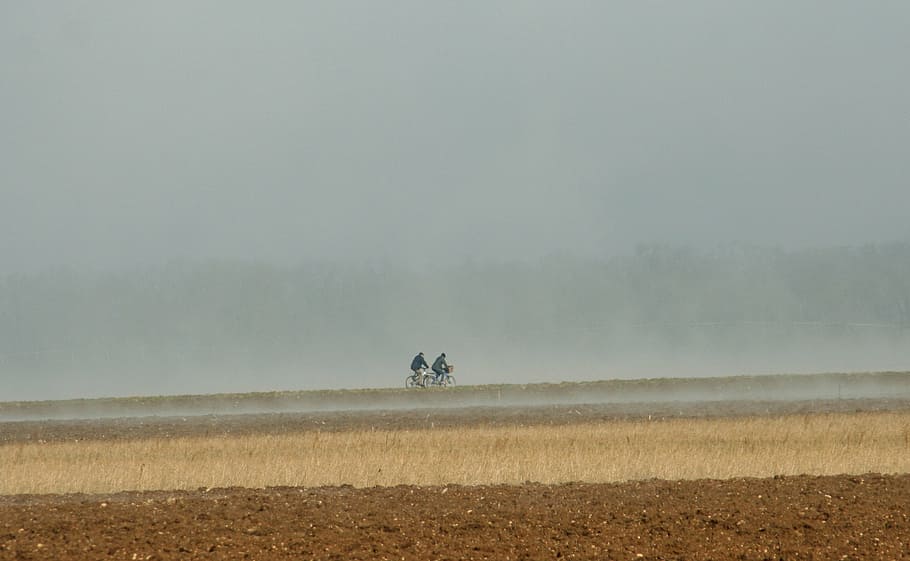 bikes, fields, mist, landscape, early in the morning, autumn HD wallpaper