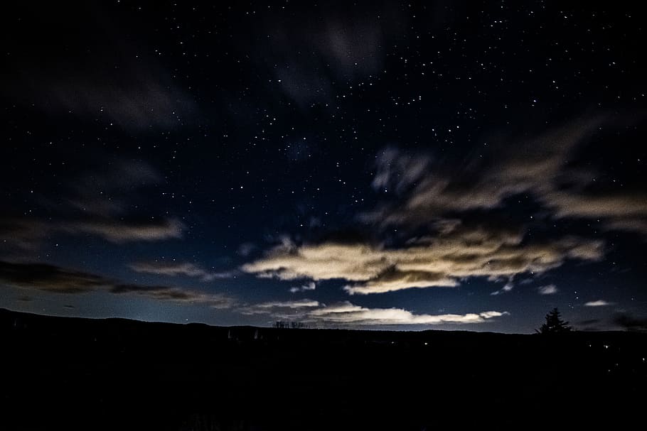 silhouette of trees at nighttime, silhouette of trees under clouds formation HD wallpaper