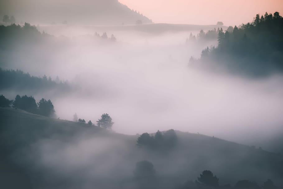 green trees field on mountain under gray sky, silhouette of trees during daytime HD wallpaper