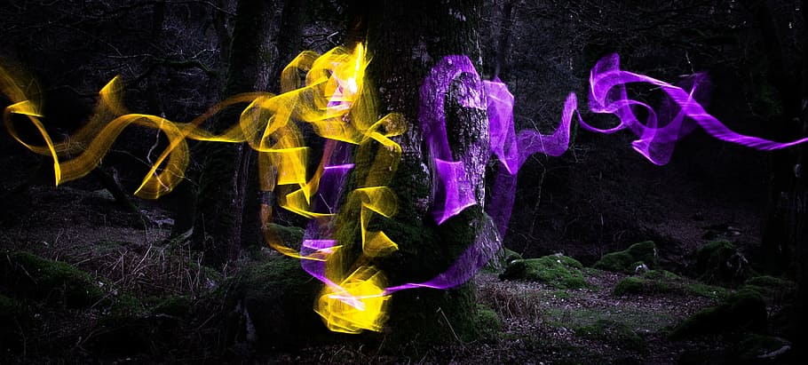 tree, light, slow, forest, landscape, nature, night, dark, outdoors HD wallpaper