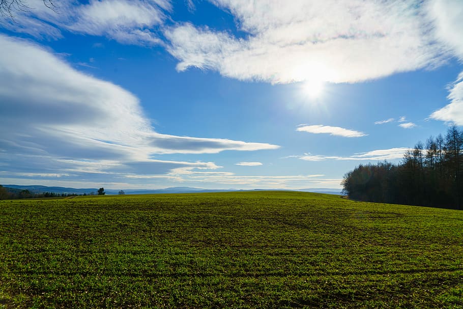 Landscape, Sun, Back Light, Summer, sky, nature, rural Scene HD wallpaper