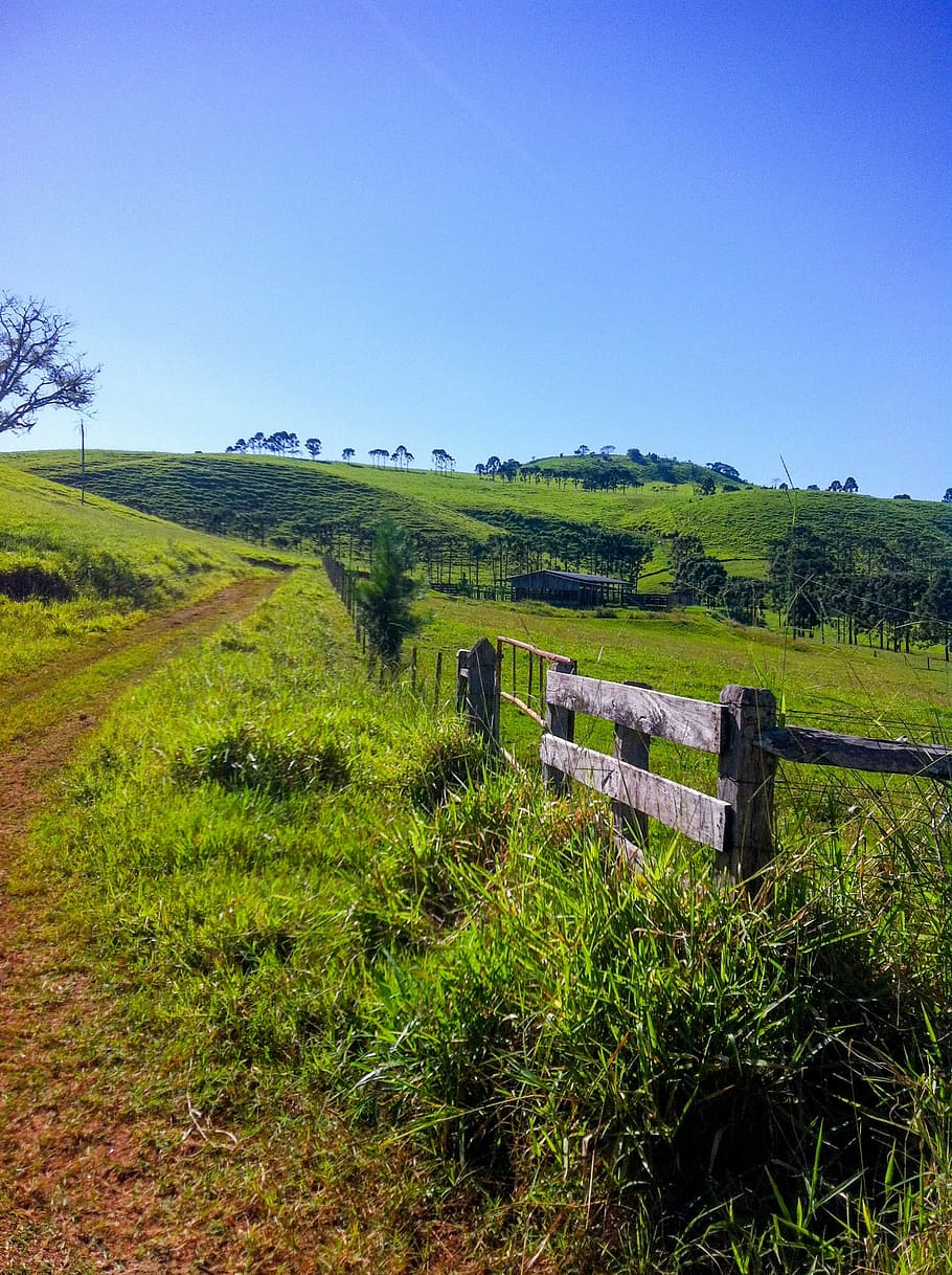 Landscape, Farm, Nature, about, green, field, rural, concierge HD wallpaper