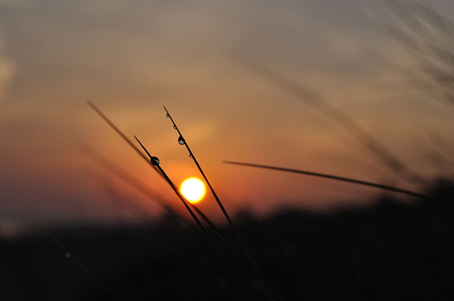 light, dawn, landscape, nature, blur, clouds, grass, outdoors HD wallpaper