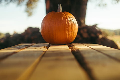 selective focus photo of pumpkin on brown wooden table, fall HD wallpaper