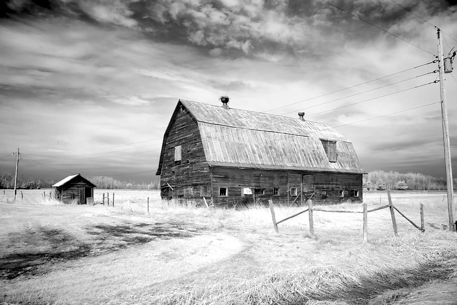 barn, farm, scheuer, agriculture, old, building, roof, scale, HD wallpaper