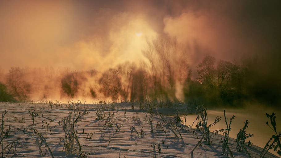 Winter, Morning, Snow, Landscape, Russia, cold, nature, dawn