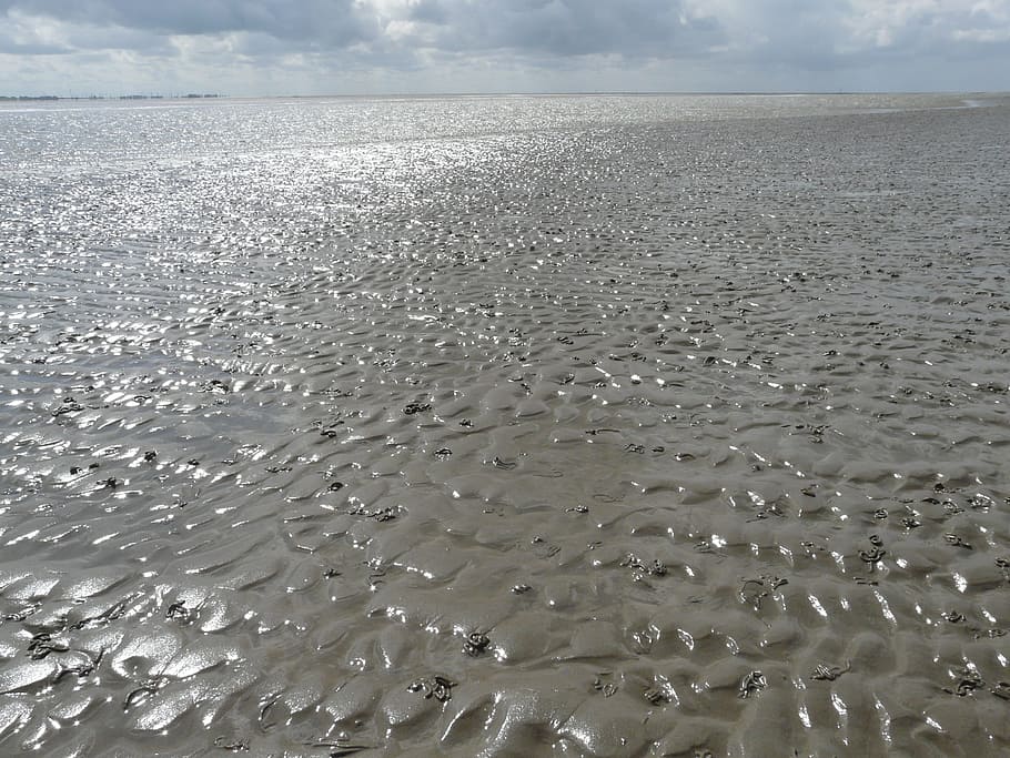 Wadden Sea, Watts, North Sea, Schlick, sand, water, gloss, sparkle, HD wallpaper