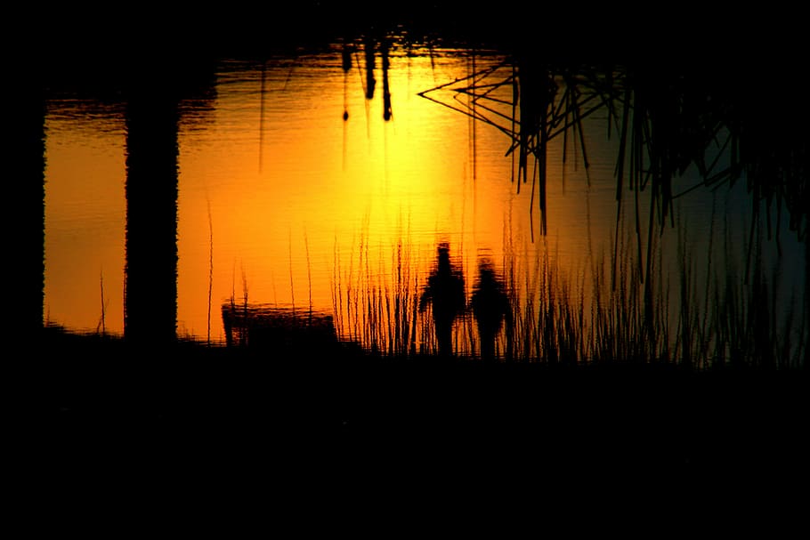 silhouette of man and woman near body of water, love, sunset HD wallpaper