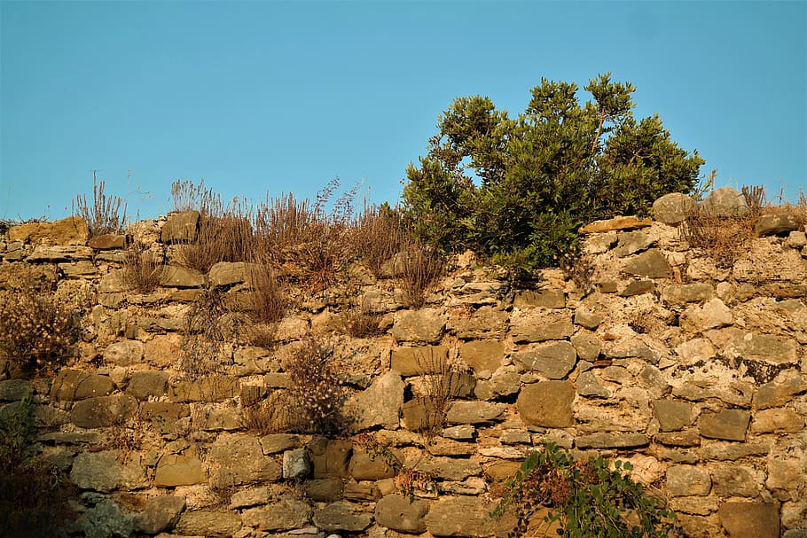 wall, overgrown, castle wall, stone, old, masonry, rock, plant HD wallpaper