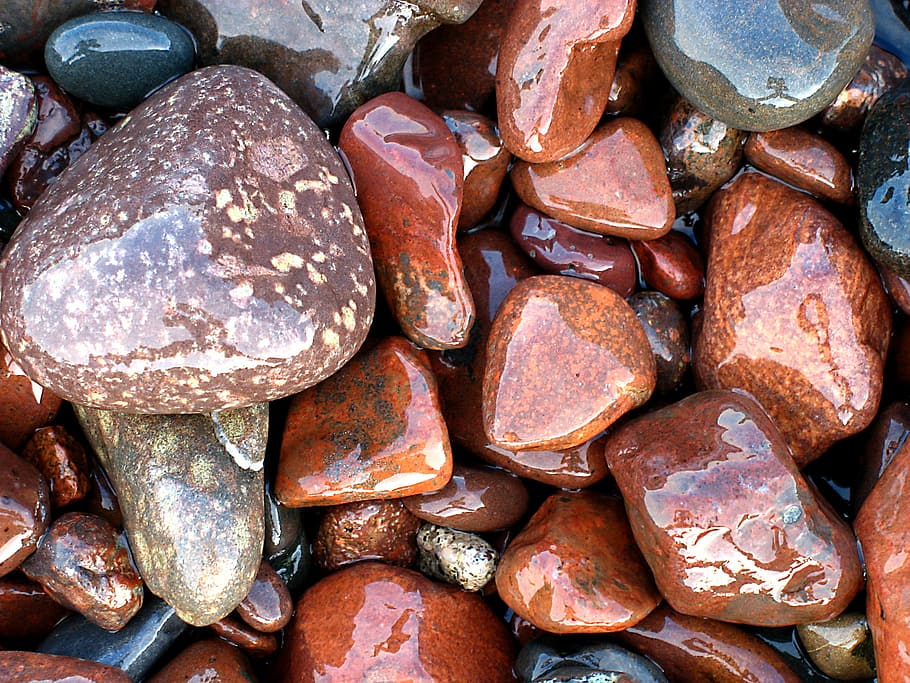 brown and gray stones on focus photo, rocks, pebbles, nature