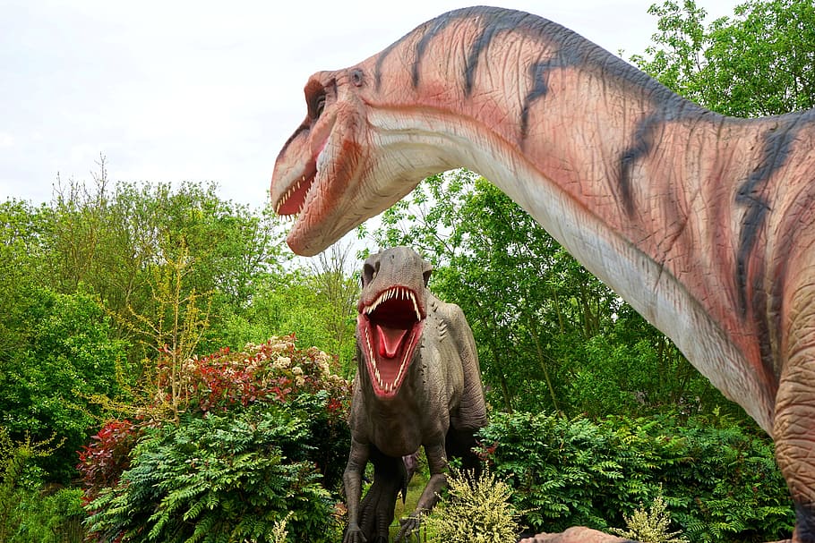 summer, garden, trees, animal, beast, carnivore, creature, dangerous HD wallpaper