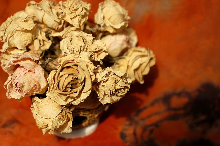 Flowers, Dried, Bouquet, Rust, Yellow, decoration, vintage HD wallpaper