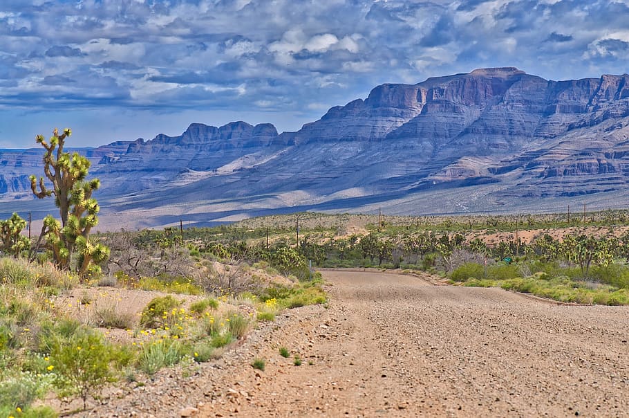 road between plants beside mountain range during daytime, mountains HD wallpaper