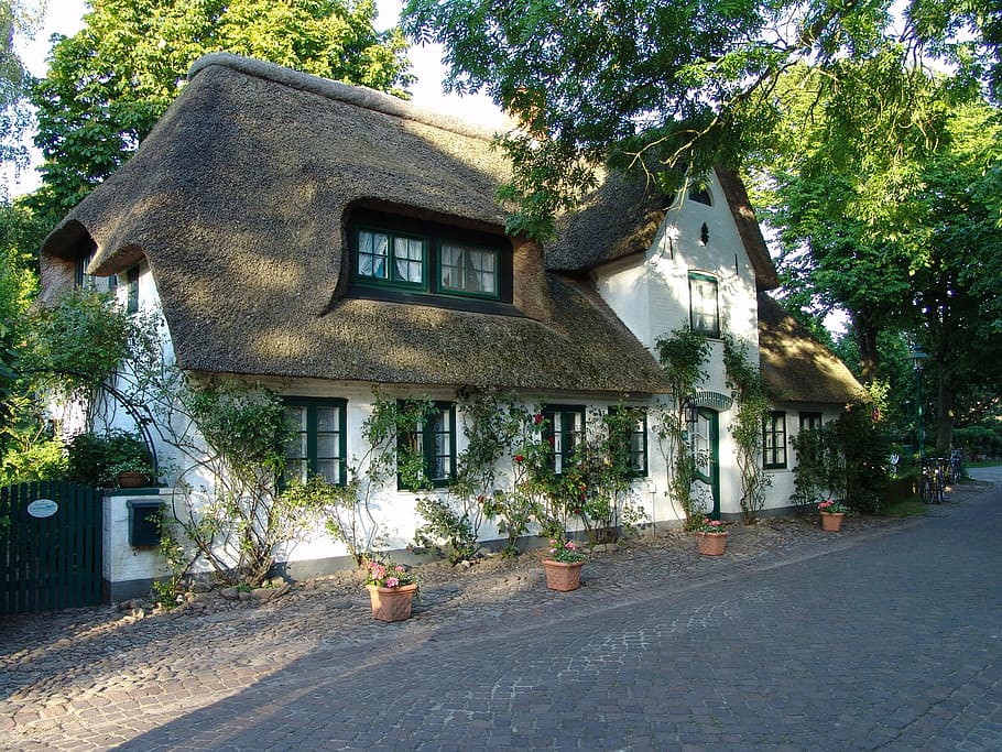 home, reed, thatched roof, holstein, mecklenburg, building exterior, HD wallpaper