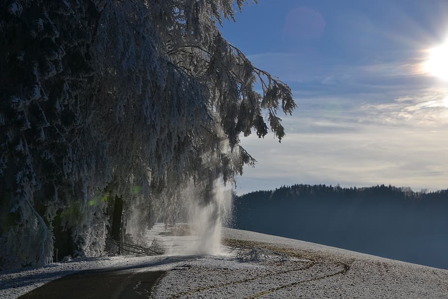 Winter, Carinthia, Walk, nature, landscape, water, scenics HD wallpaper