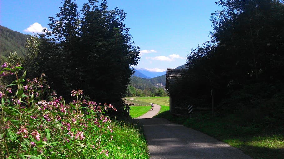 road, forest, trees, nature, away, landscape, farm, bike, exit HD wallpaper