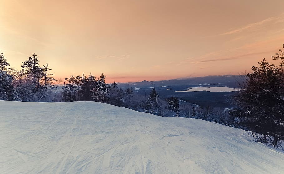 trees on mountain covered with snow, trees filled with snow, hill HD wallpaper