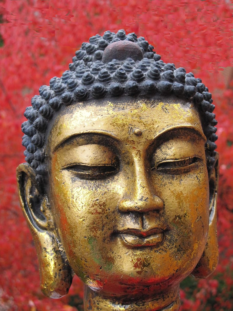 close-up photography of Buddha figurine, siddhartha gautama, head, HD wallpaper