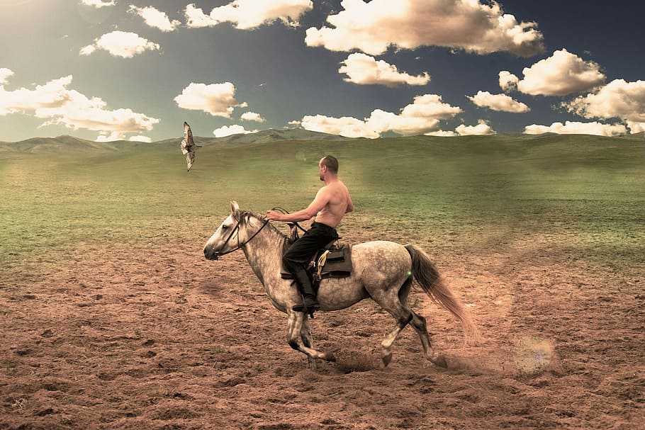 saker, horse, clouds, mammal, domestic animals, animal wildlife HD wallpaper