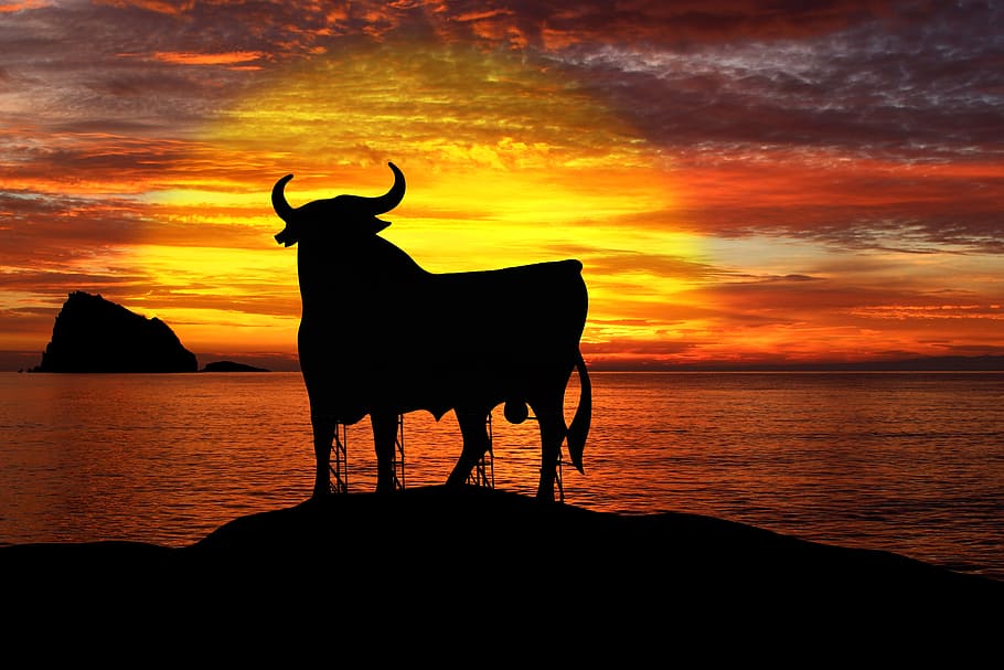 silhouette of bull fronting body of water, osborne, spain, summer HD wallpaper