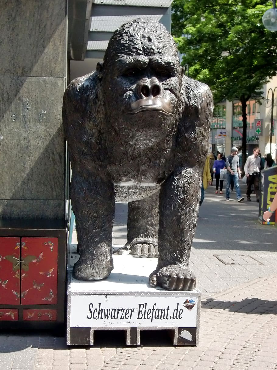 gorilla, monkey, figure, funny, elephant, confusion, false HD wallpaper