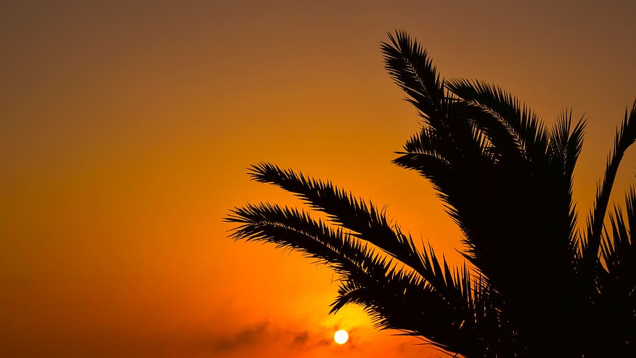 sunset, nature, summer, sky, clouds, evening, orange, scenic HD wallpaper