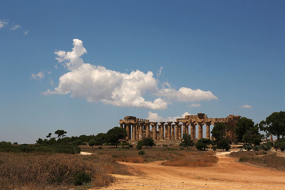 gray concrete ruins surrounded by trees, segesta, sicily, landscape HD wallpaper