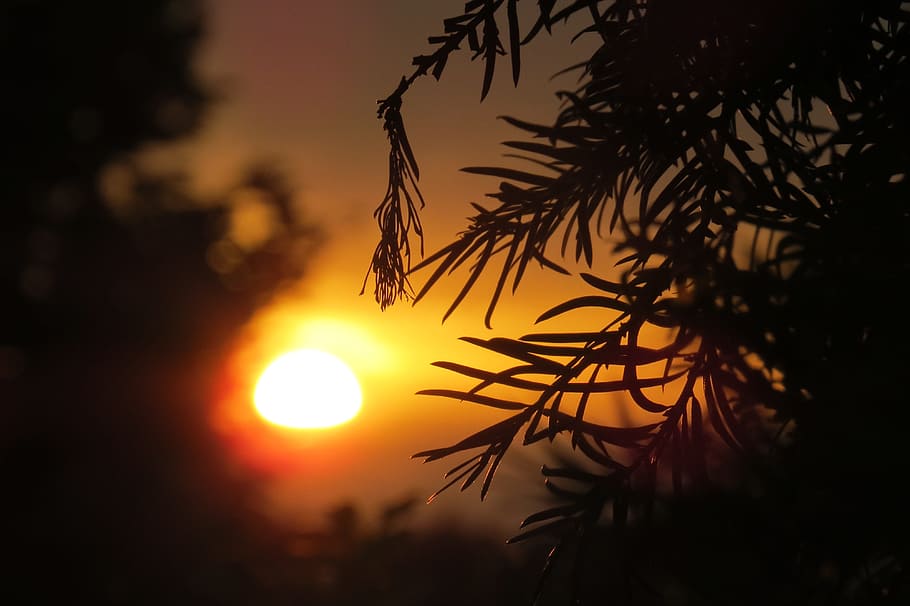 sunset, abendstimmung, setting sun, sky, romantic, evening sky HD wallpaper