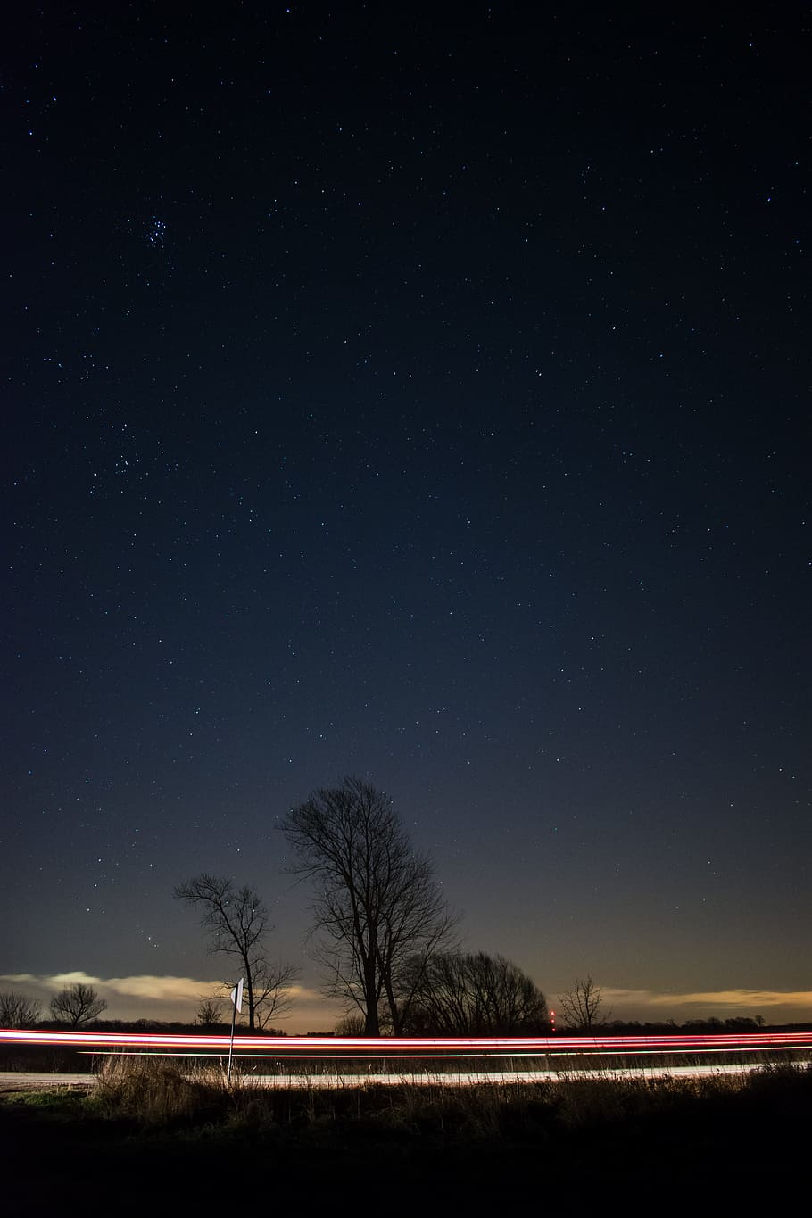 time lapse photography of vehicle crossing between bare trees under starry night, bare trees during nighttime HD wallpaper