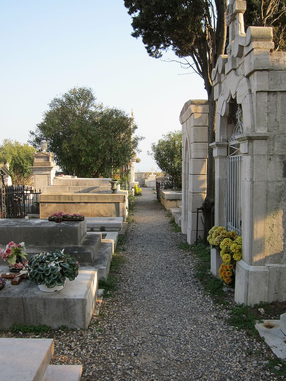 cemetery, sète, mediterranean, plant, grave, architecture HD wallpaper