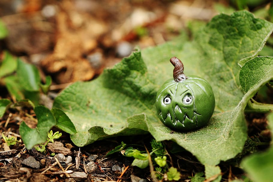 Figure, Miniature, Green, Leaf, tiny, green color, one animal HD wallpaper