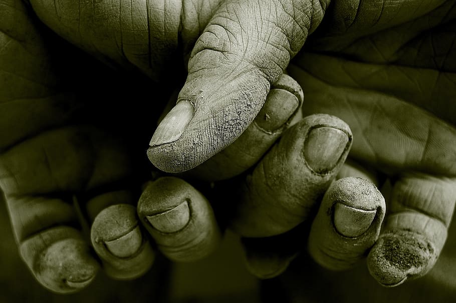 person hands, work, finger, dirty, gardening, human, gardener HD wallpaper