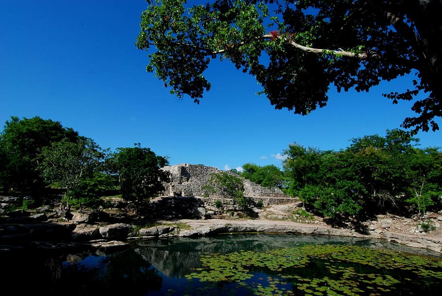 Cenote, Yucatan, great, tree, nature, water, no people, river HD wallpaper
