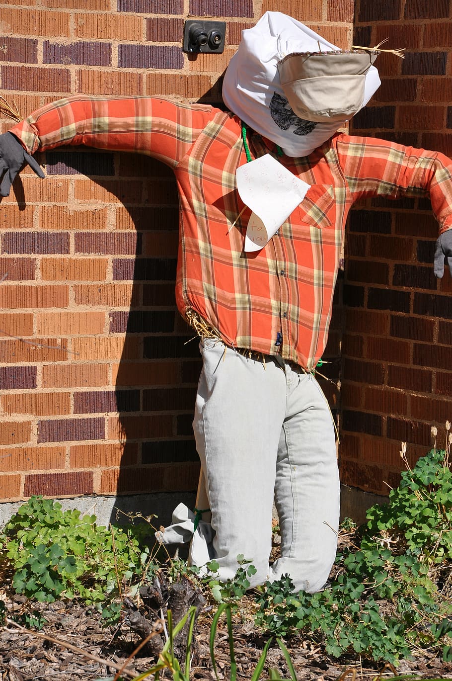 scarecrow, brick, dickinson state university, brick wall, standing, HD wallpaper